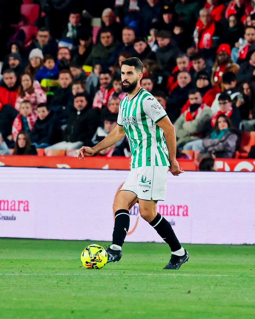 Xavi Sintes